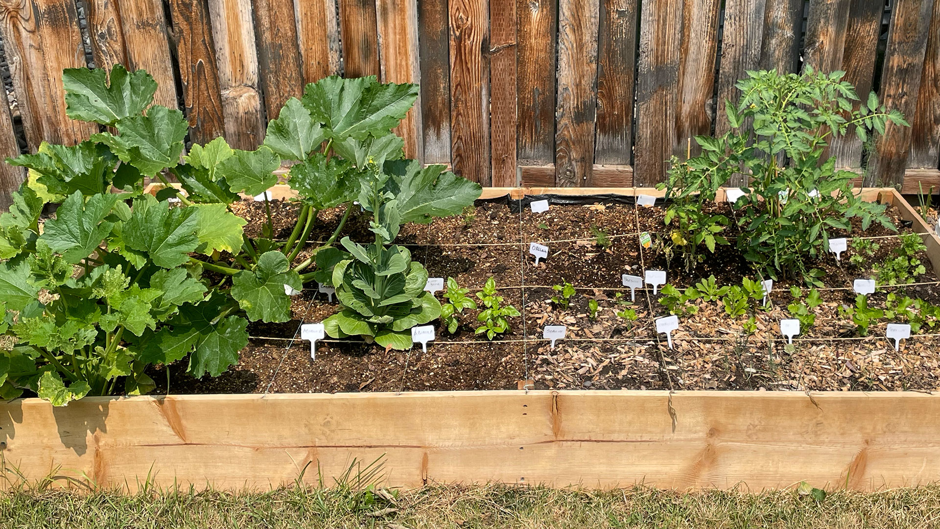 square foot garden