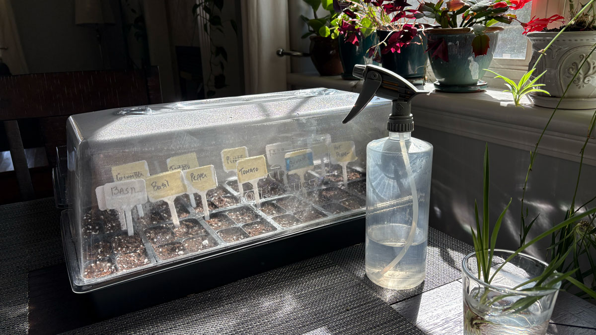 How to Start Seeds Indoors in Bozeman